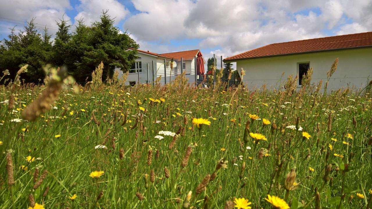 Landhotel Pathes Hof Volkenshagen Zewnętrze zdjęcie